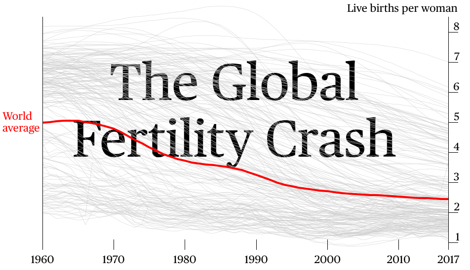 Global Fertility Crash | Snippet Finance