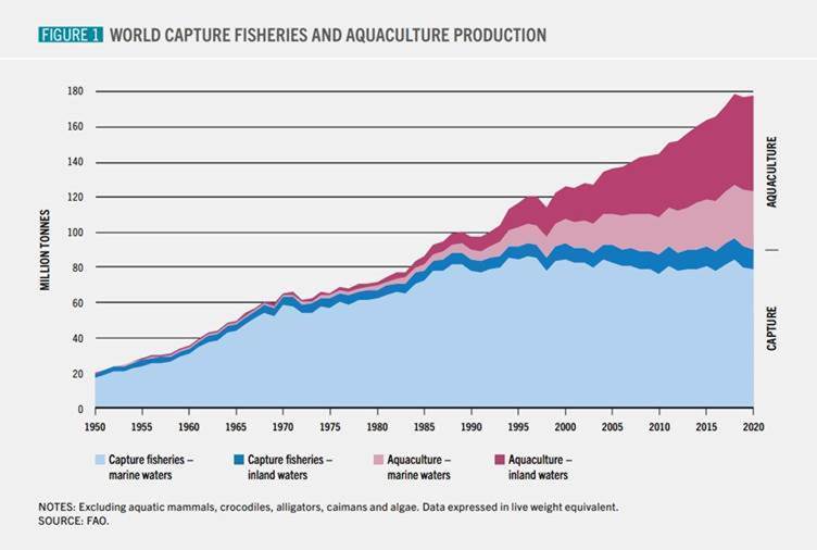 aquaculture-vs-wild-caught-fish-snippet-finance